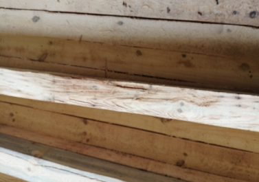 Дошка соснова