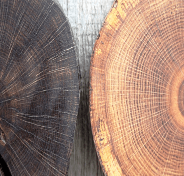 дубовий лофт