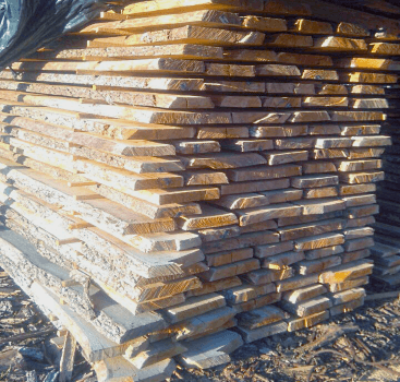 дошка дубова